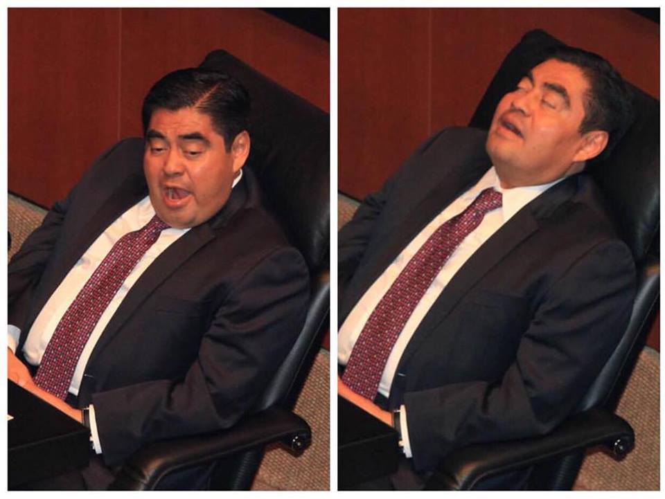 14256534_10209298349992389_83469832_n