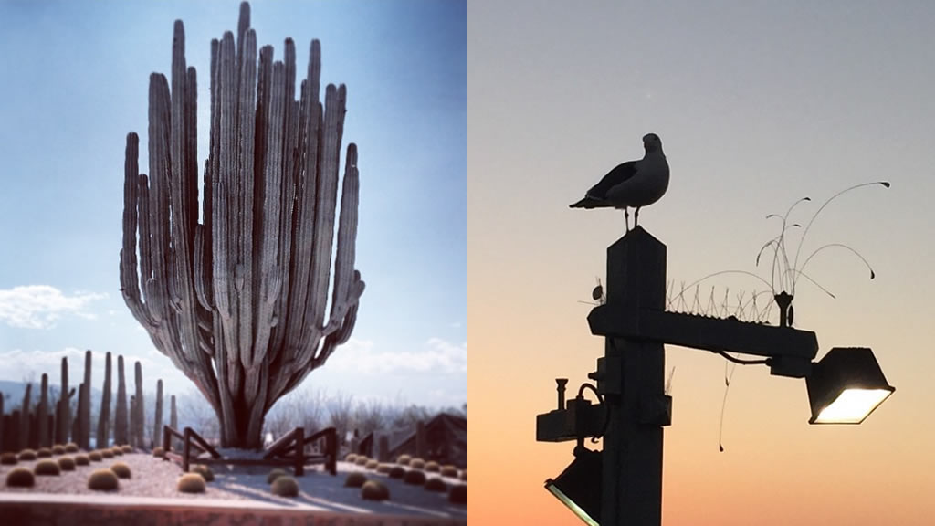 Las mejores fotografías de los políticos en Instagram