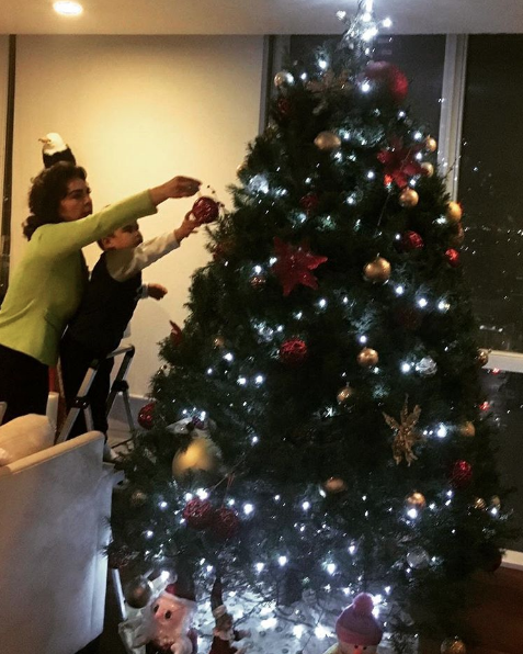 arboles de navidad 2016 5