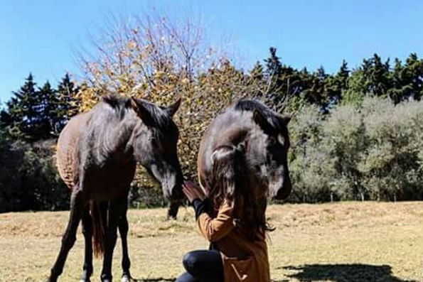 amores de paulina pena 3