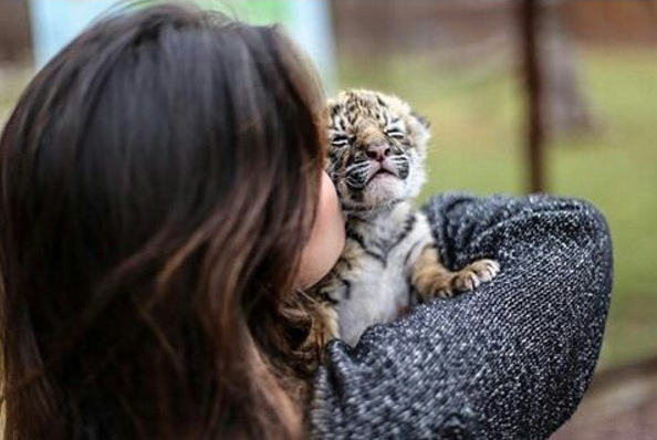 amores de paulina pena 4