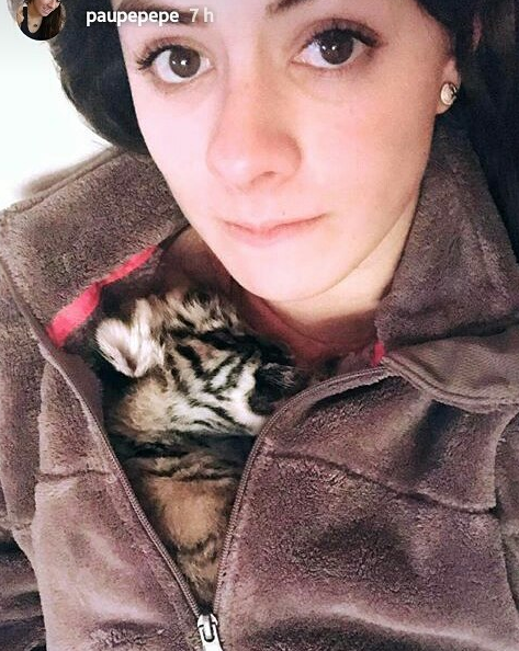 amores de paulina pena 5