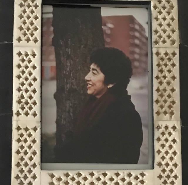 politicos a sus mamas 1