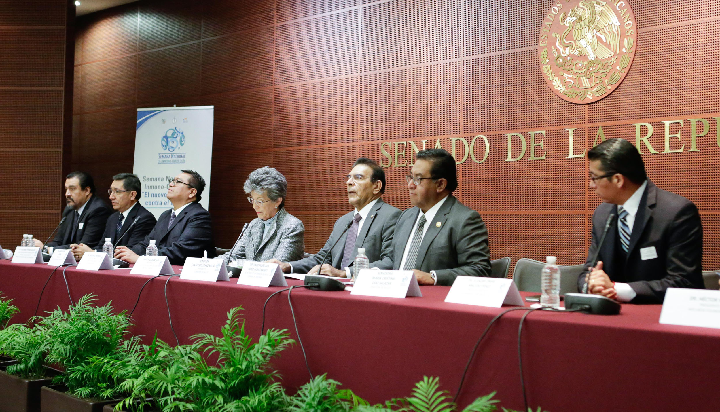 nacional de cancer 4