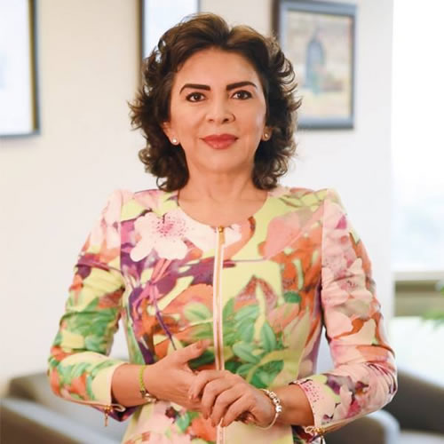 aspirante a la presidencia 2