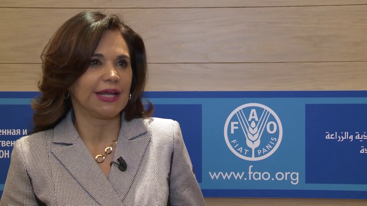 Senado de la Republica