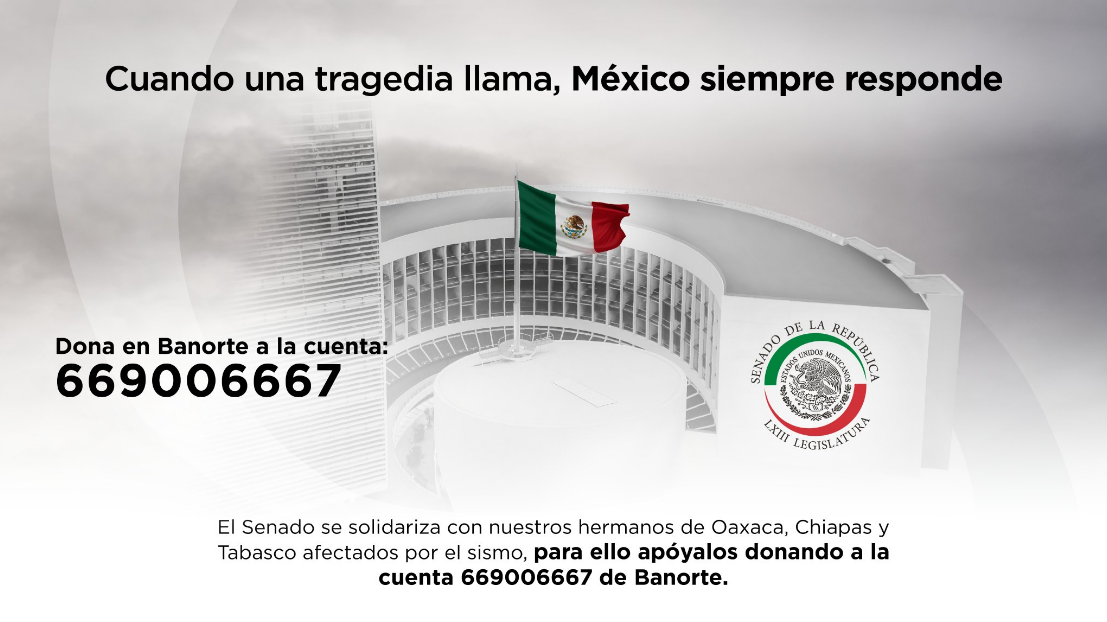 ayuda a los afectados 5