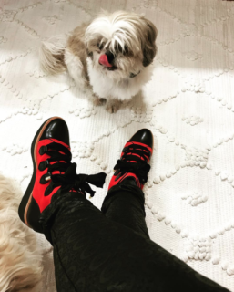 Quien le mueve la cola a Lucero Saldaña 2