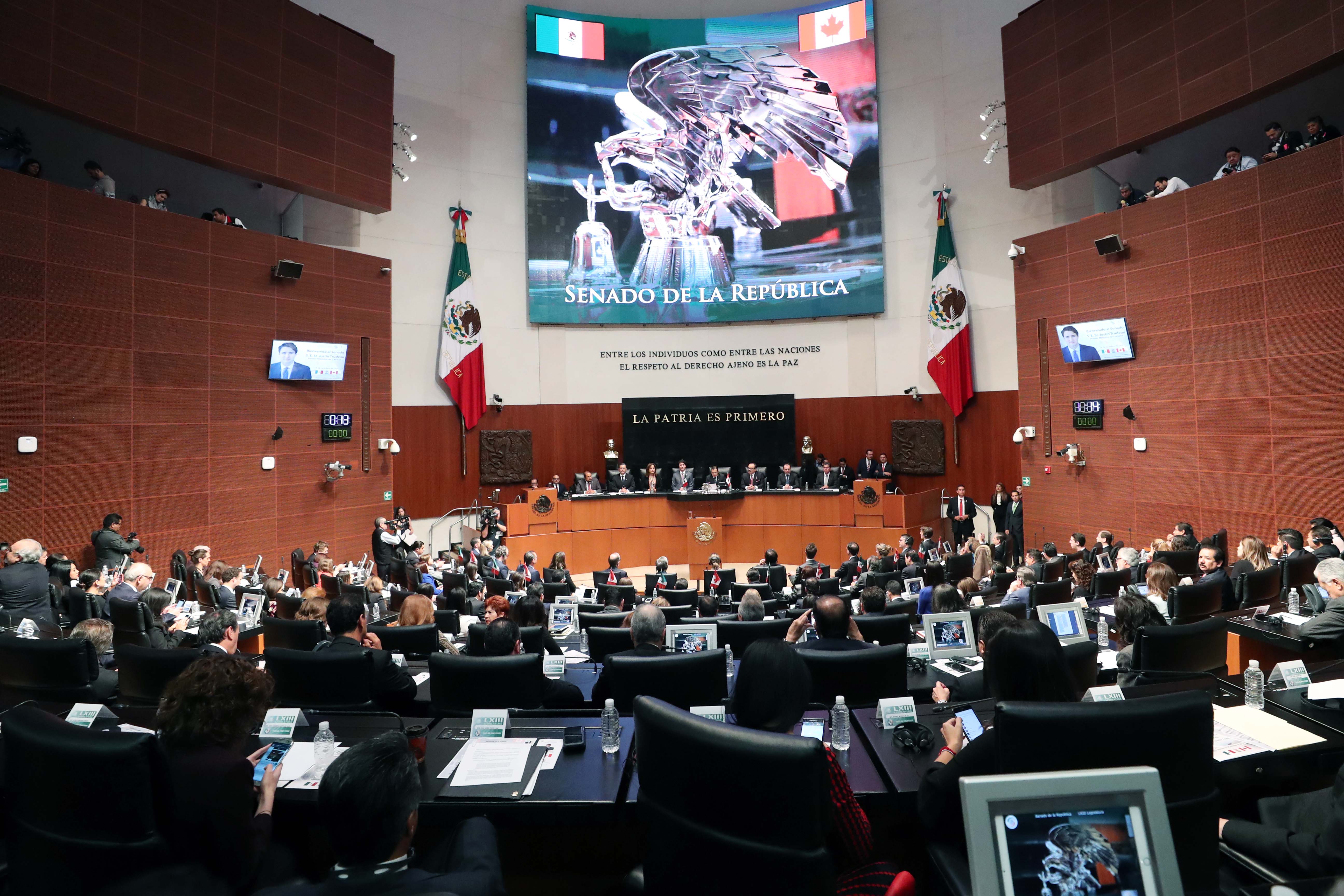 Trudeau en el Senado 6