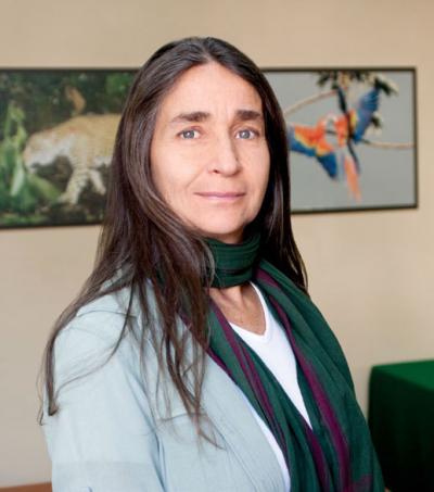 Medalla Belisario Dominguez 3