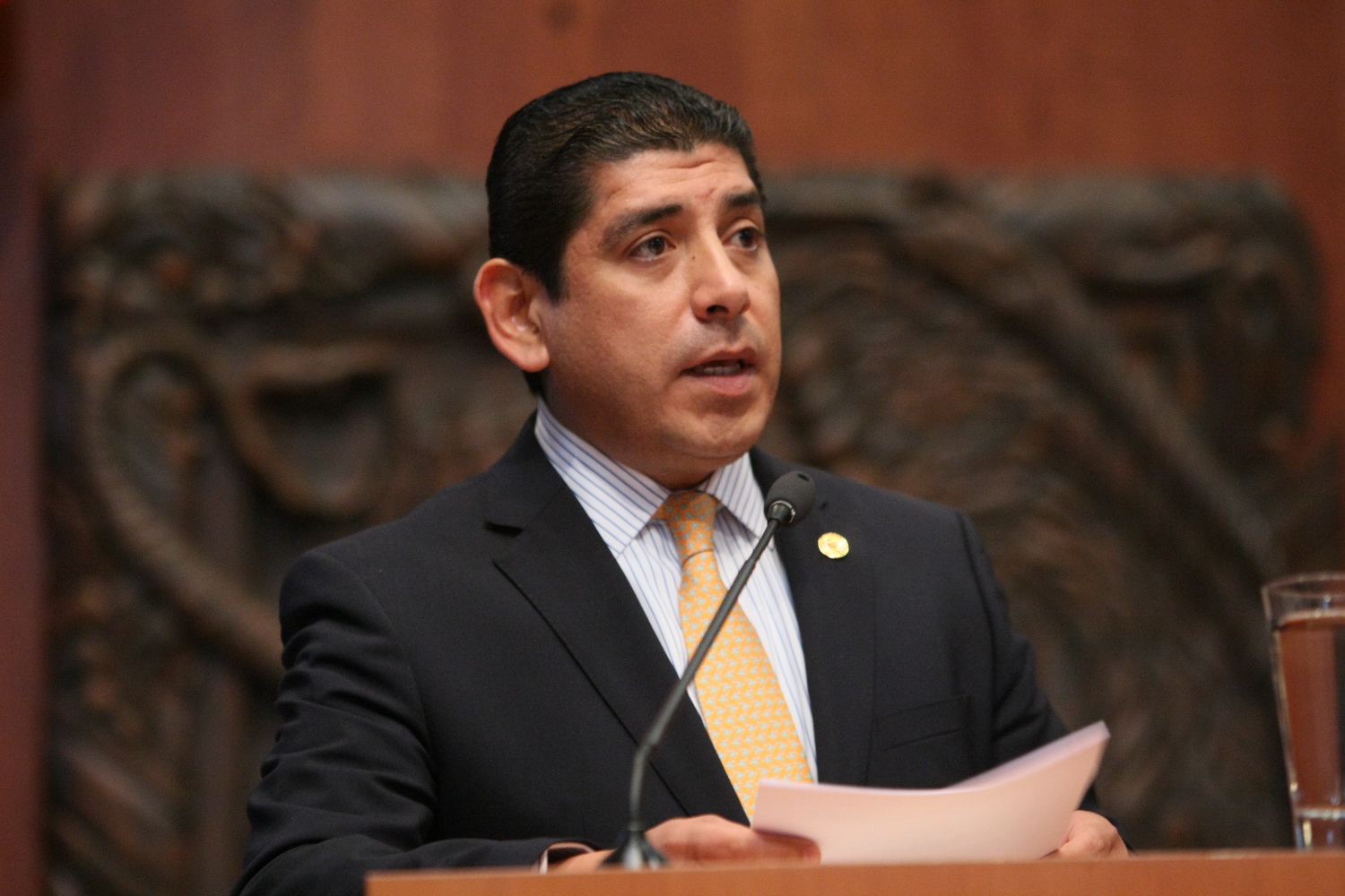 Ley de Seguridad Interior 3