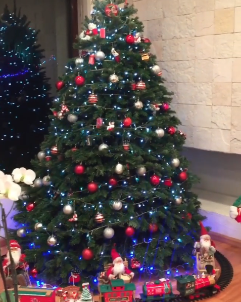 arboles de navidad de los politicos arboles de navidad de los politicos 6