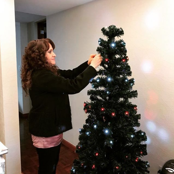 arboles de navidad de los politicos arboles de navidad de los politicos 12