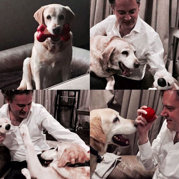 perro de Aurelio Nuno 3