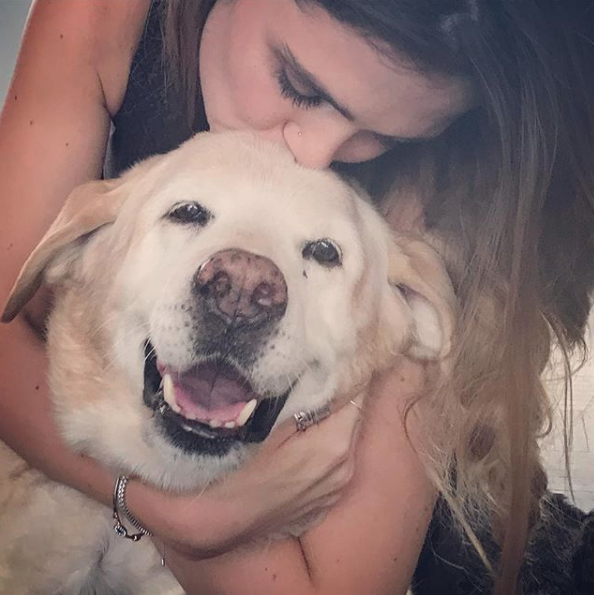 perro de Aurelio Nuno 9