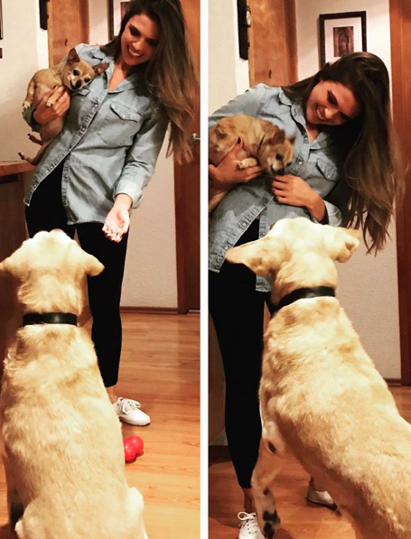 perro de Aurelio Nuno 11