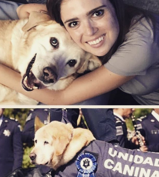 perro de Aurelio Nuno 13