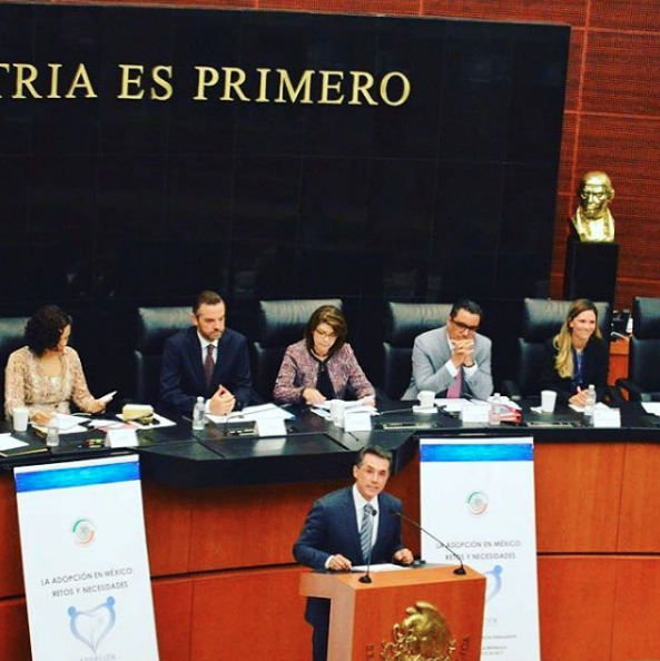 Sergio Mayer Sergio Mayer 12