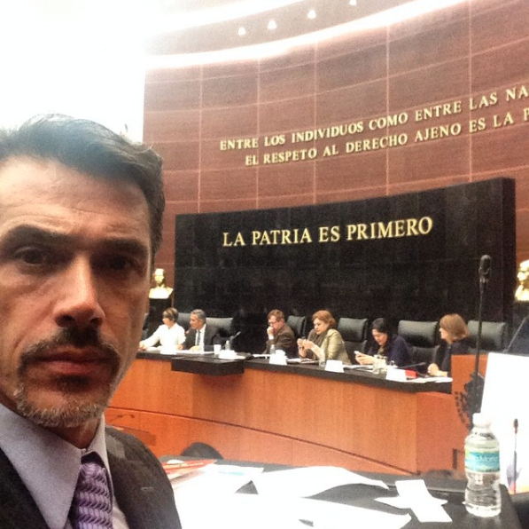 Sergio Mayer Sergio Mayer 15