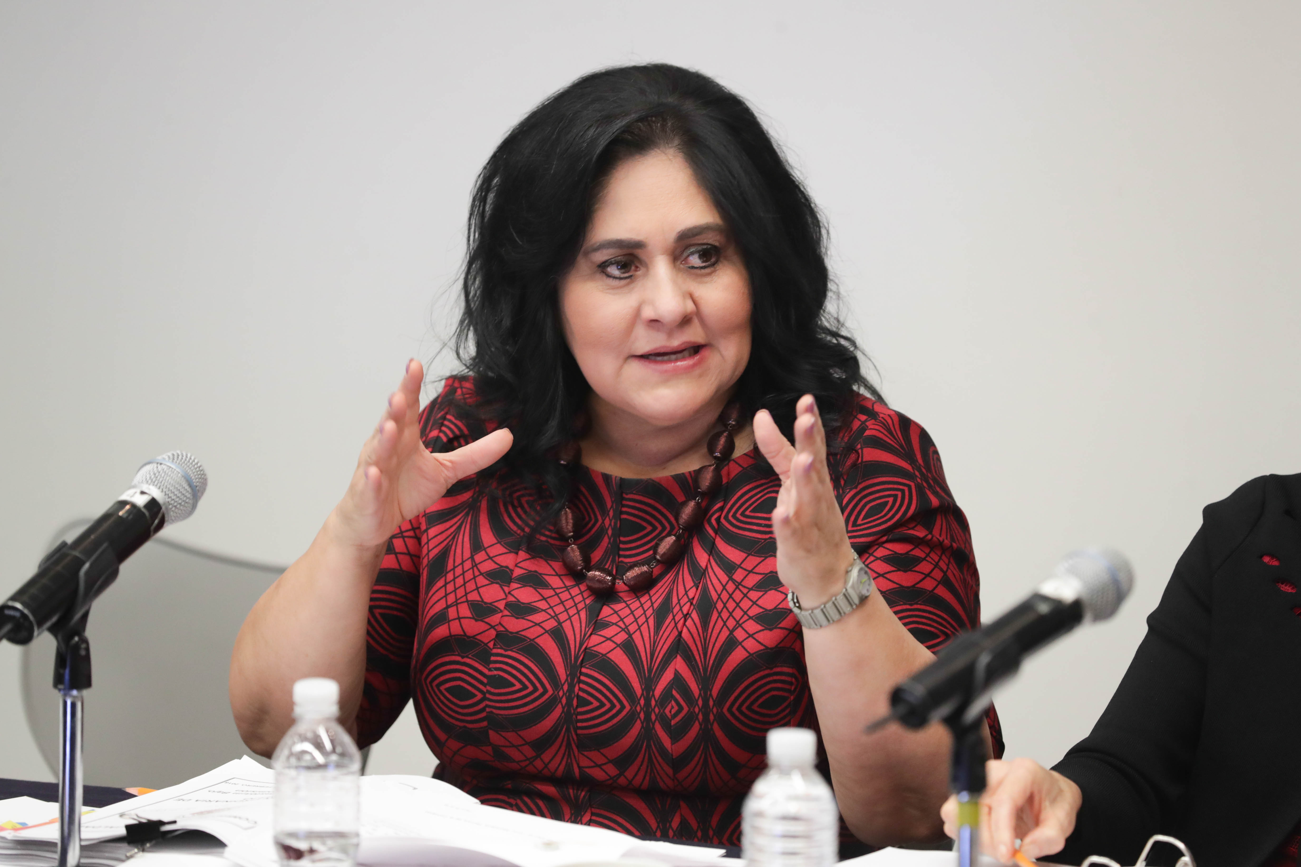 Elvia Carrillo Puerto 4