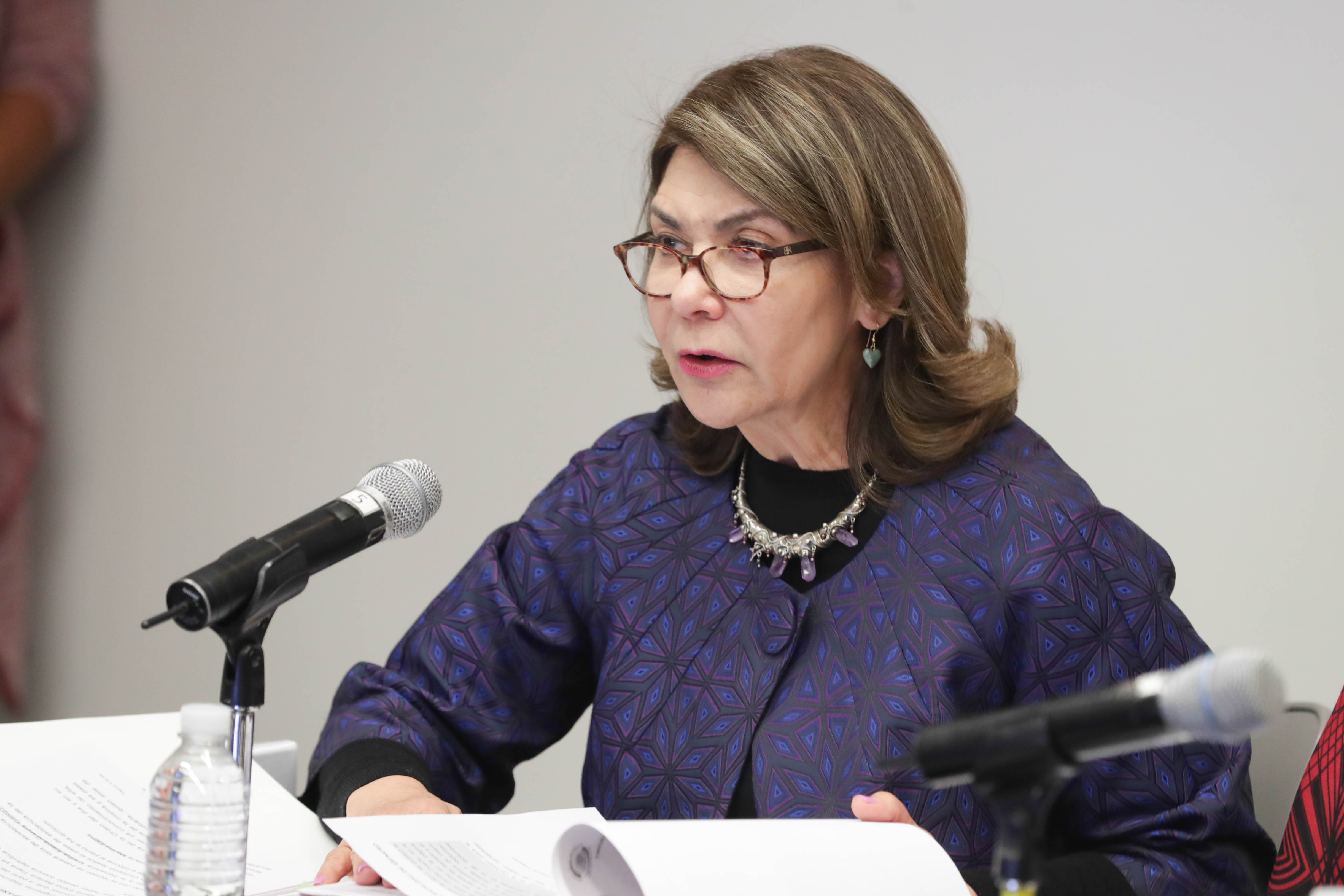 Elvia Carrillo Puerto 5