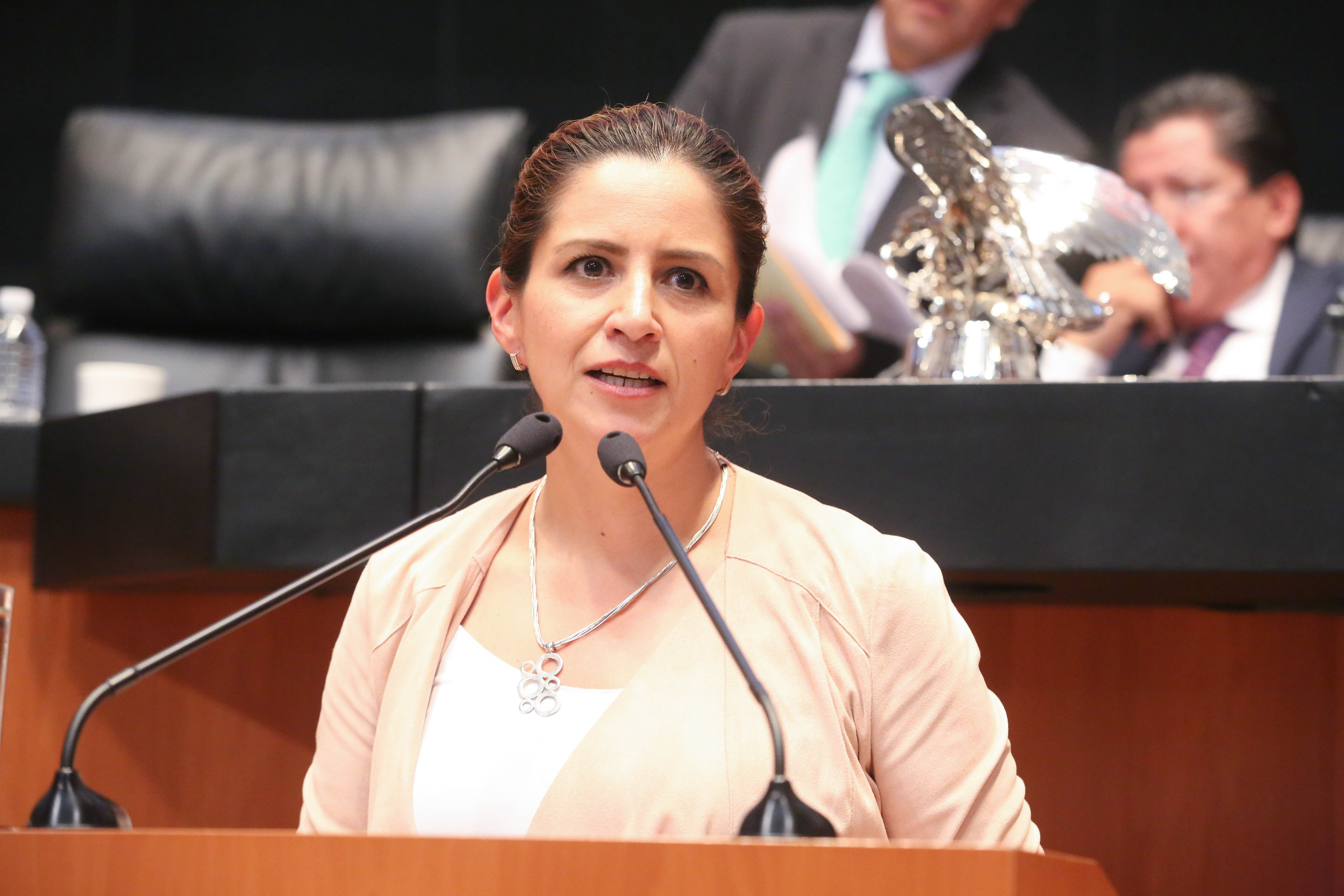 Maria Elena Chapa Hernandez 4