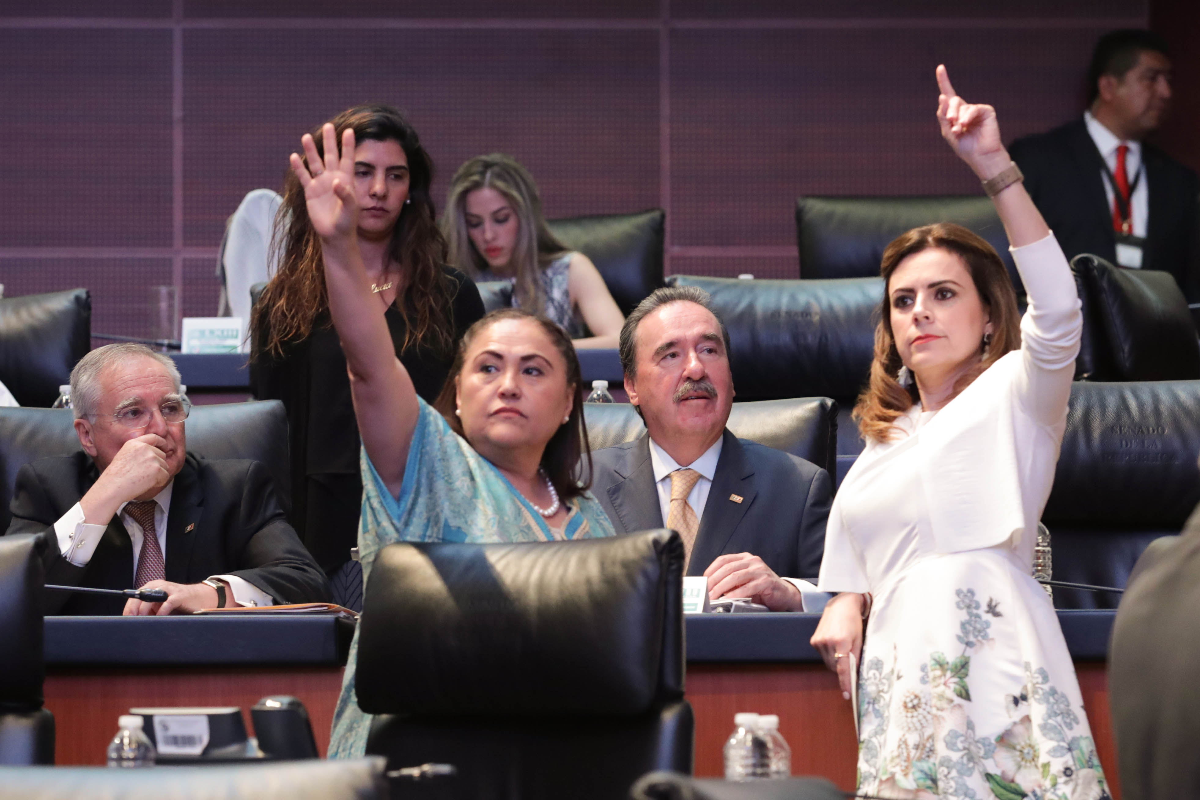 Senado aprueba la donacion de organos 4