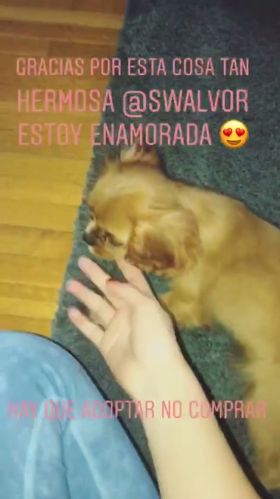 La perra de Sofia Castro 5