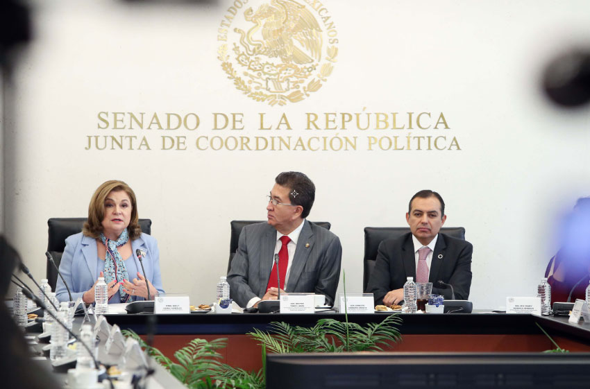 Camara Alta del Congreso 4