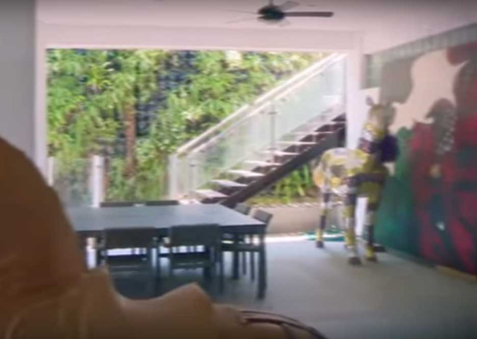 donde-vive-Jaime-Rodriguez-13