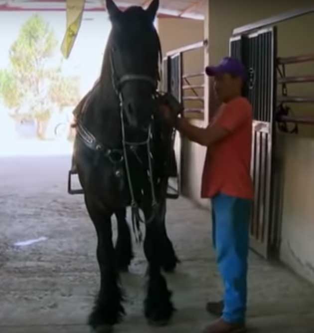 donde-vive-Jaime-Rodriguez-30