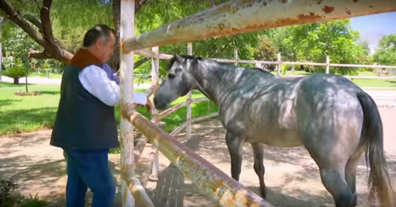 donde-vive-Jaime-Rodriguez-32