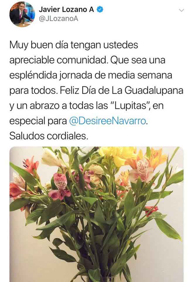 Virgen de Guadalupe 4