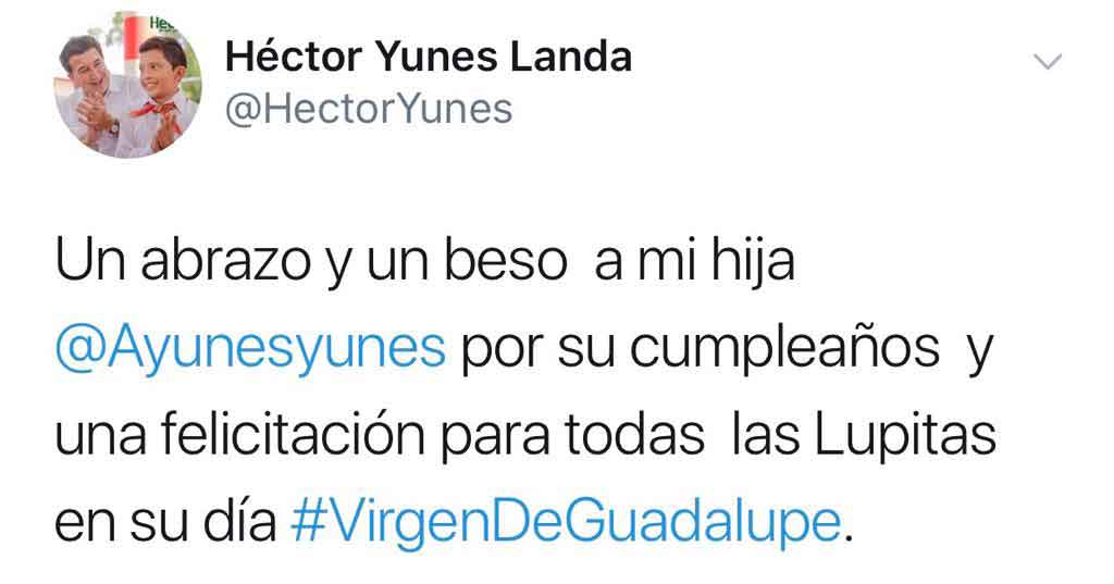 Virgen de Guadalupe 11