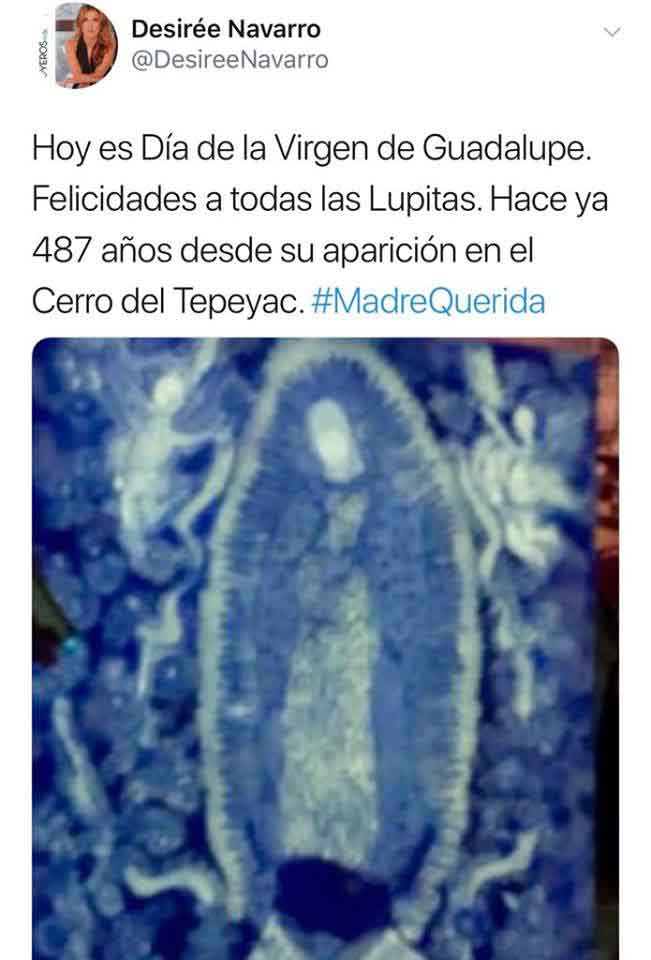 Virgen de Guadalupe 15