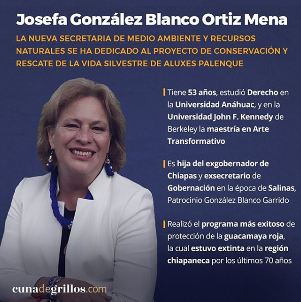 gabinete de Andres Manuel 7