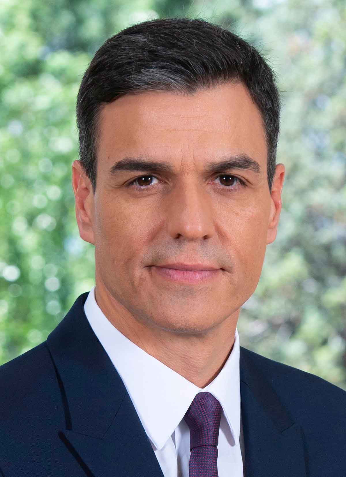 saber de Pedro Sanchez 9