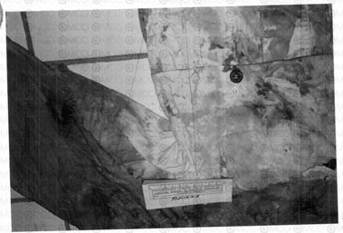 chamarra de Colosio 6