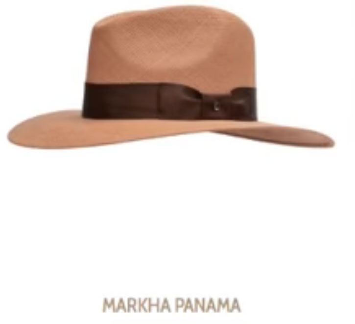 sombrero de Andres Manuel 7