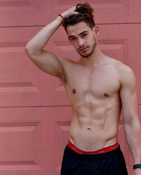 cunado guapo de Enrique 8