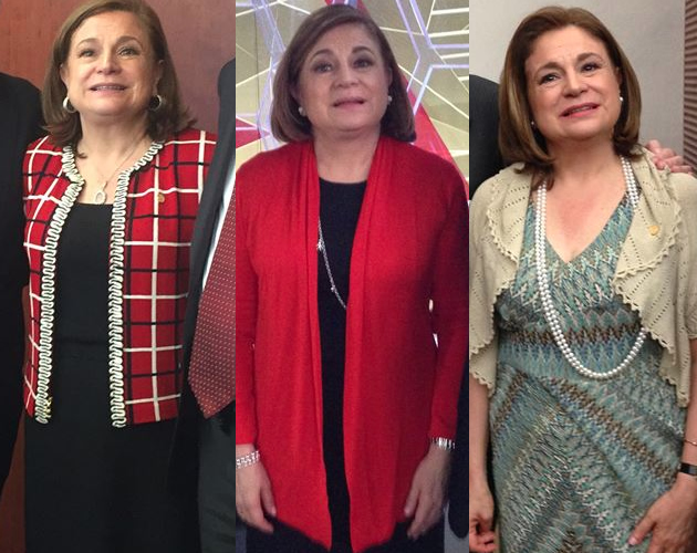 la señora Procuradora