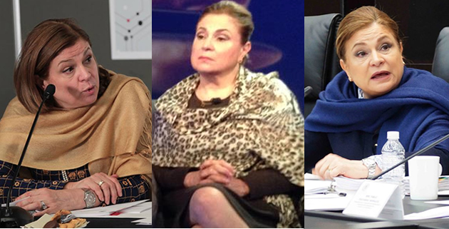 la señora Procuradora