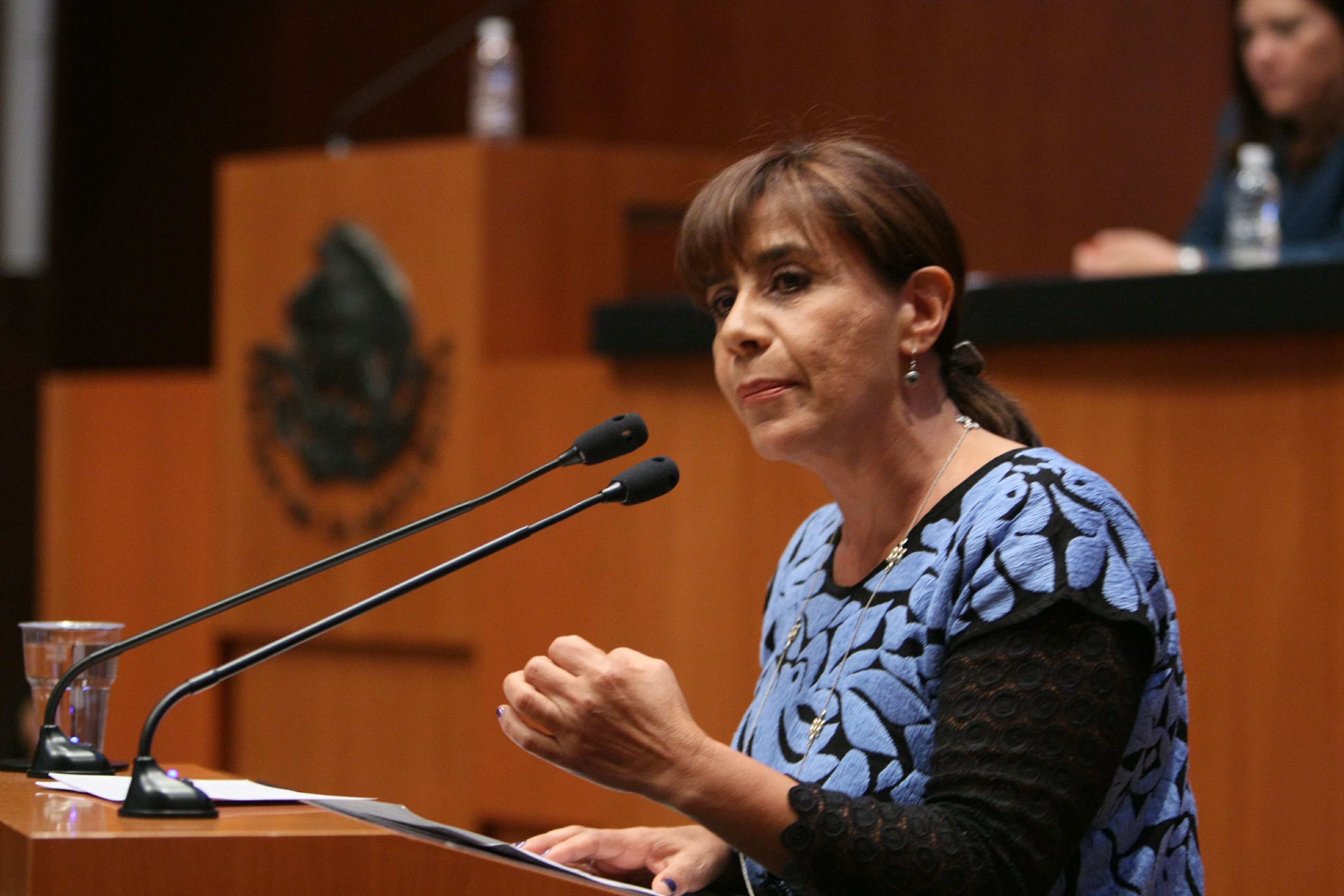 dia internacional dia internacional