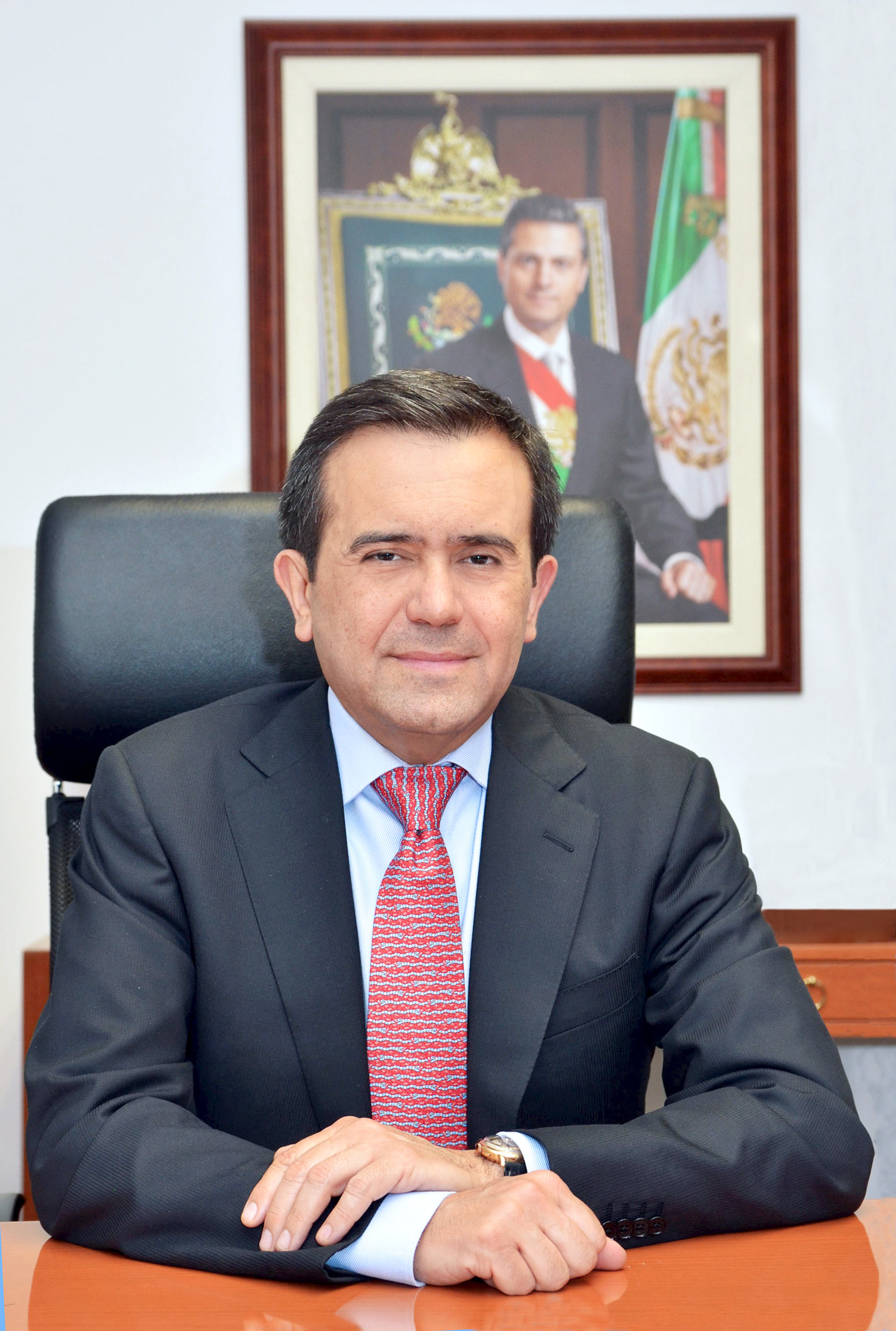 universidad predomina universidad predomina