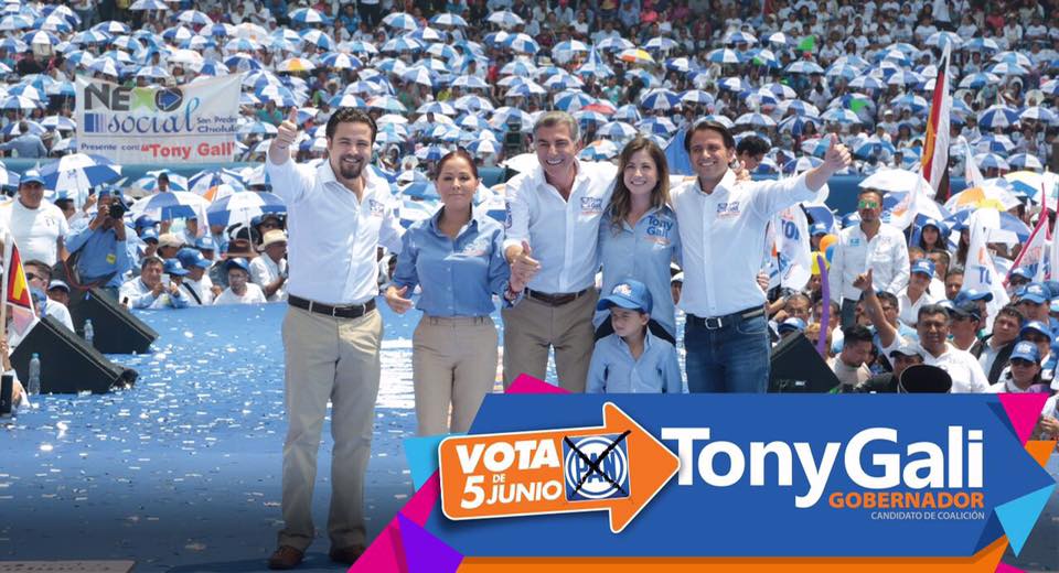 candidatos candidatos